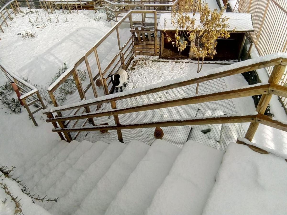 Aurora Dell'Etna Acomodação com café da manhã Zafferana Etnea Exterior foto